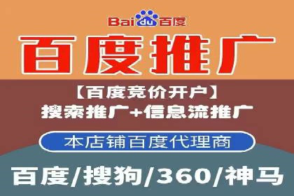百度广告投放策略优化及成功案例解析